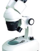 Stereo Mikroskop - Seben Incognita Stereo Mikroskop 20x+40x+80x Vollausstattung - 1