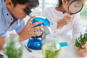 Mikroskop für Kinder - Fotolia_112206166_XS-compressor