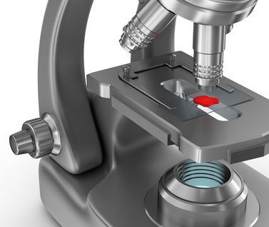 mikroskop aufbau - fotolia_118479608_xs-compressor