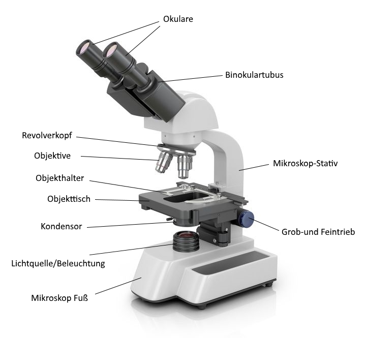 mikroskop aufbau-fotolia_108338806_s-compressor